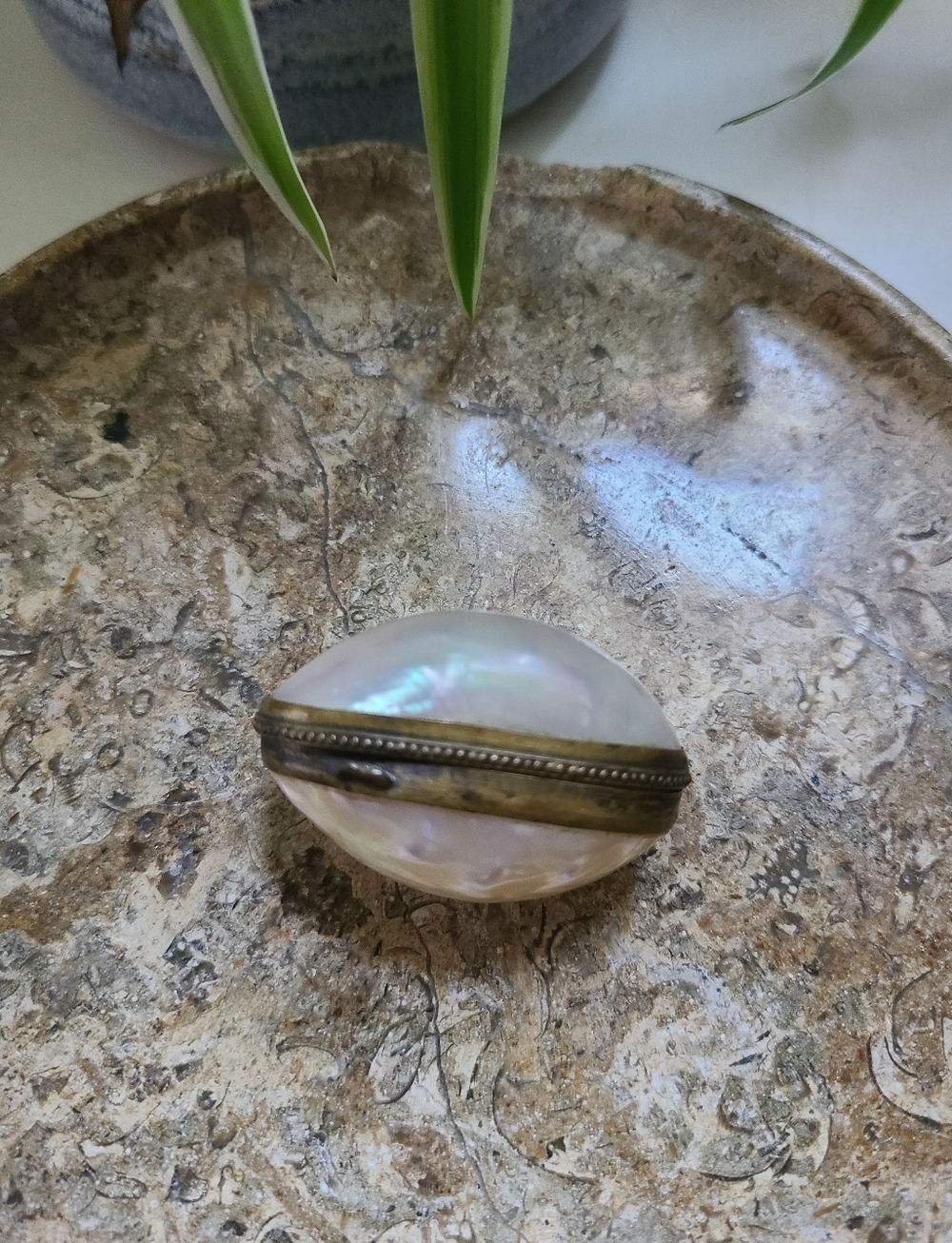 Antique Vintage Mother Of Pearl Shell Trinket Pill Box Brass Hinged Victorian